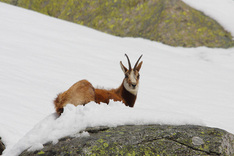 Parco Nazionale del Gran Paradiso