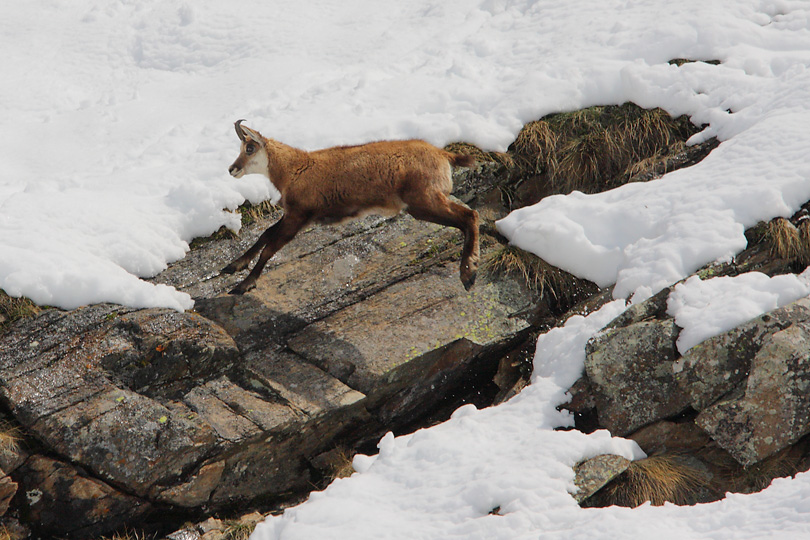 Parco Nazionale del Gran Paradiso