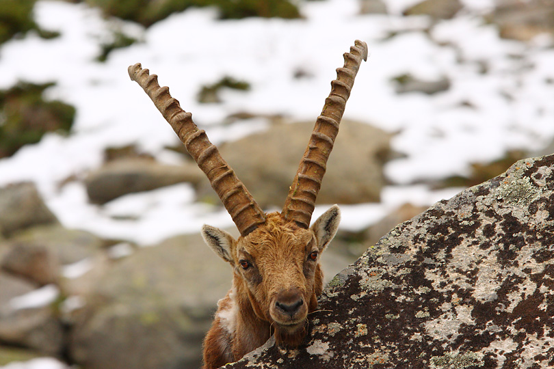 Parco Nazionale del Gran Paradiso