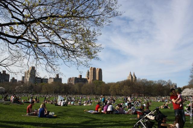 new_york_-_central_park25.jpg